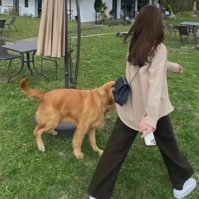 少年阿虎